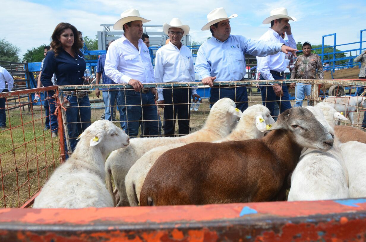 GobTam destina 27 mdp a ganaderos 