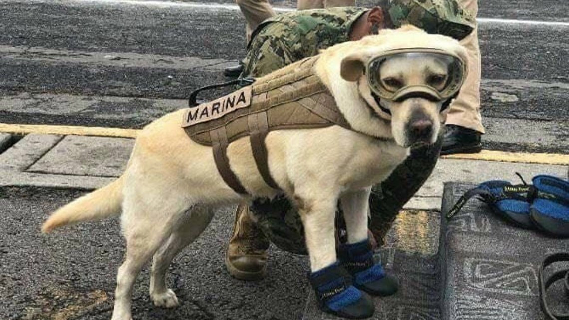 Japoneses realizan homenaje a Frida