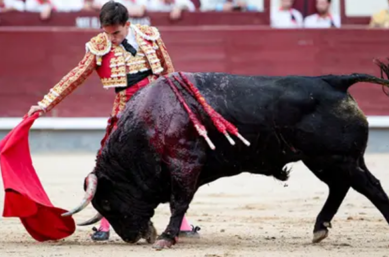 Pérdidas en el sector podrían superar los 77 millones de euros