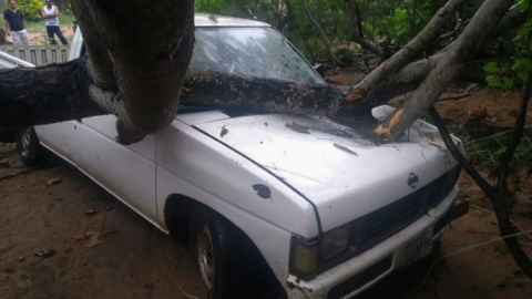 "Ramón" toca tierra y causa grandes daños