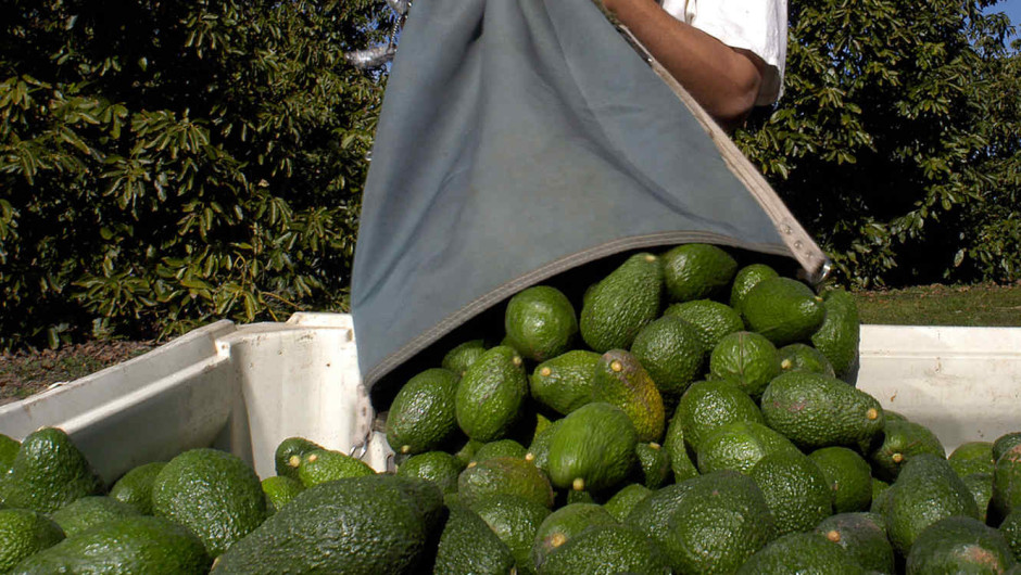 Cierre de frontera EU-México pegará fuerte en la economía de ambos países 