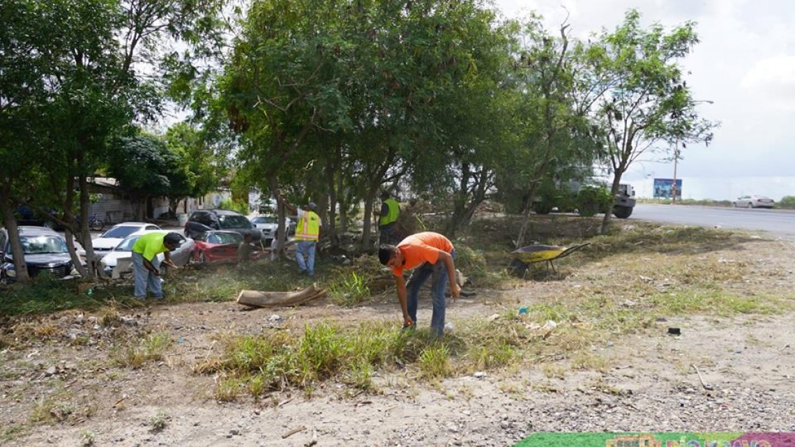 Realizan acciones de limpieza en Libramiento