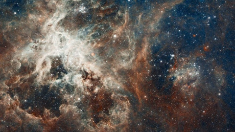 NASA capta a la Nebulosa de la Tarántula