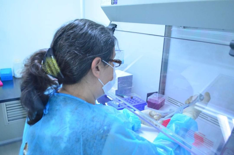 Tamaulipas suma 55 mil 113 casos de COVID-19 