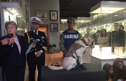 Frida la perrita dona sus botas a un museo
