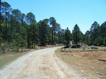 Localizan a excursionistas perdidos en Miquihuana 