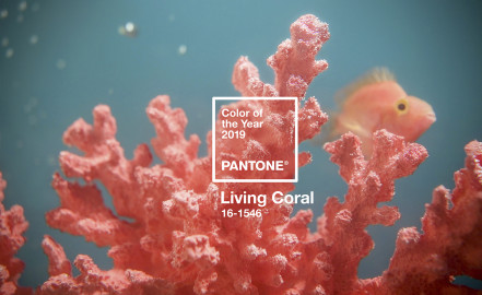 Living Coral será el Pantone del Año 2019