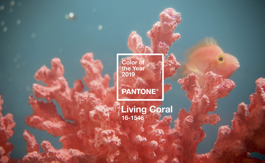 Living Coral será el Pantone del Año 2019