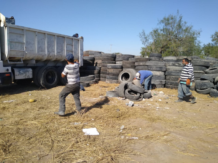 Patios limpios y confinamiento correcto de basura ayudan a evitar Dengue 