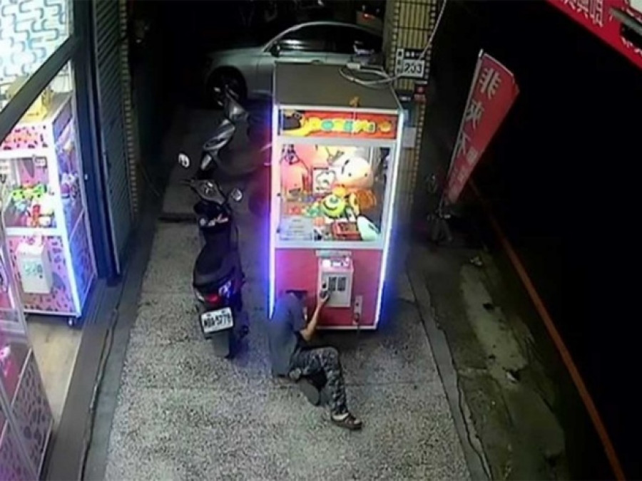 ¡Y así de fácil se llevó unos cuantos peluches!