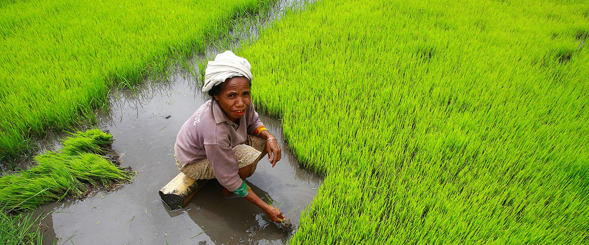Hoy se celebra el “Día de la Tierra”