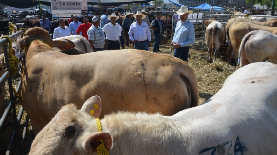 Programa de Mejoramiento Genético concluye con éxito