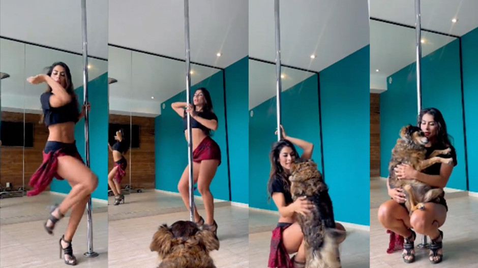 María León baila sensual y es interrumpida por su perrita