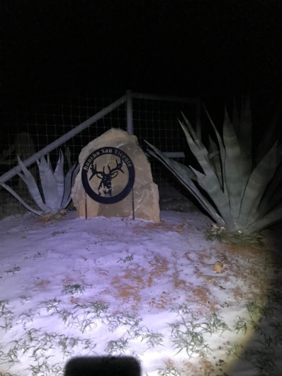 Reporta ganadería daños mínimos por frente frío en Nuevo Laredo