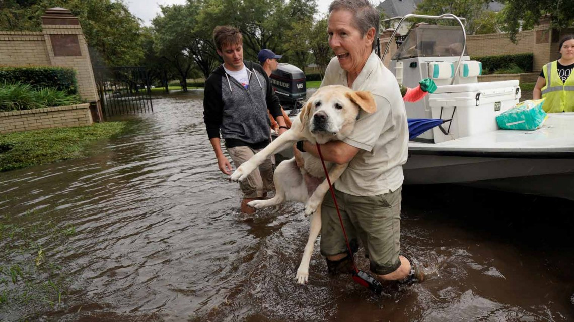 Comienza EU rescate de mascotas victimas de ‘Harvey’