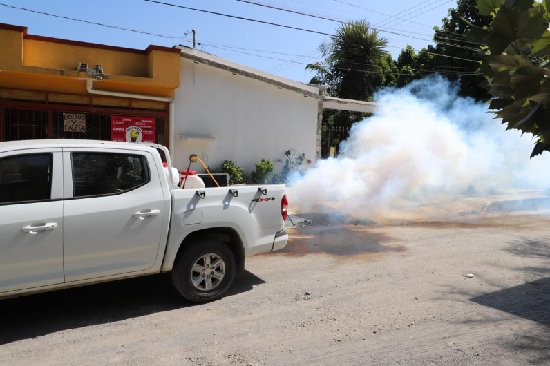 Refuerza Secretaría de Salud de Tamaulipas estrategia de fumigación y abatización