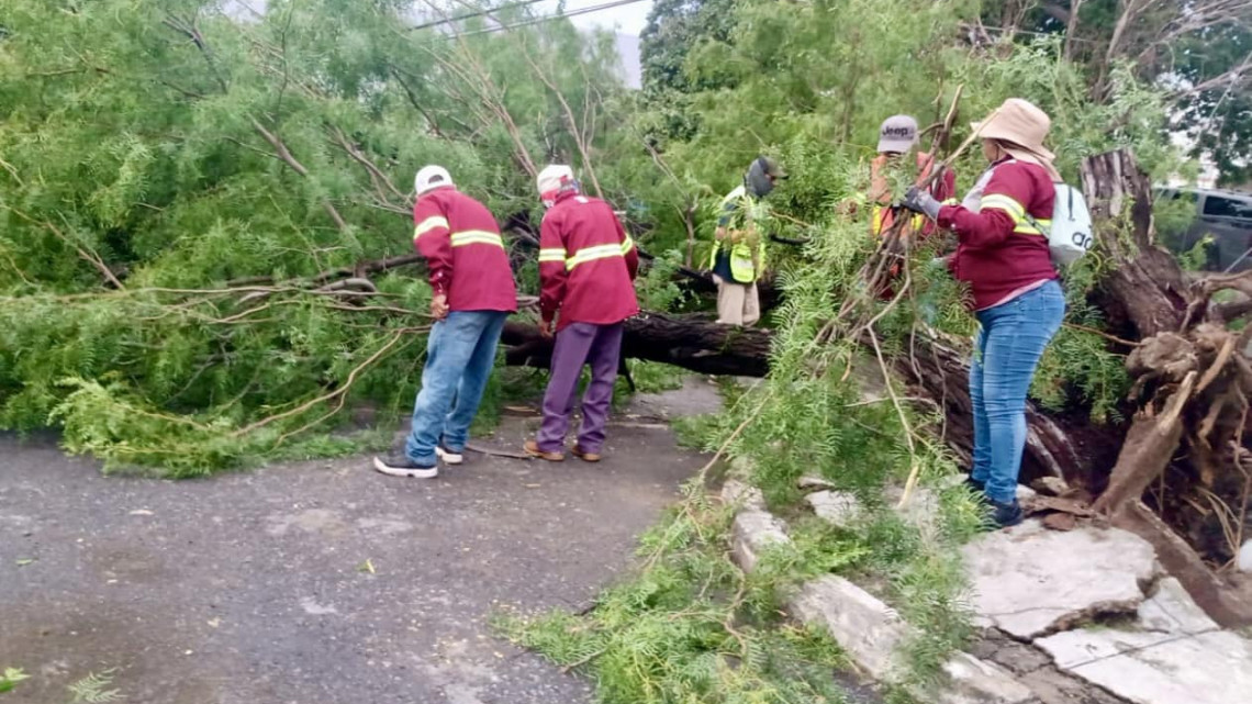 Tormenta deja afectaciones en Nuevo Laredo