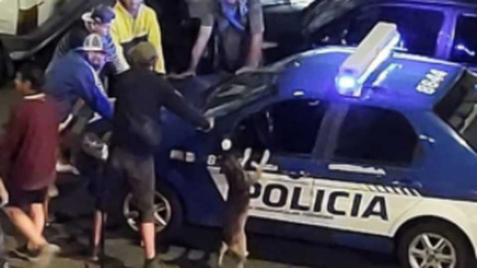 Perrito se para en dos patas tras un operativo de la policía
