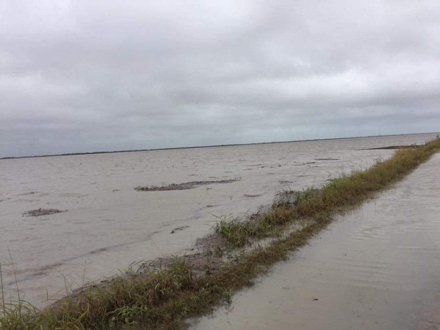 Toca tierra “Fernand”; pasa el peligro para Matamoros 