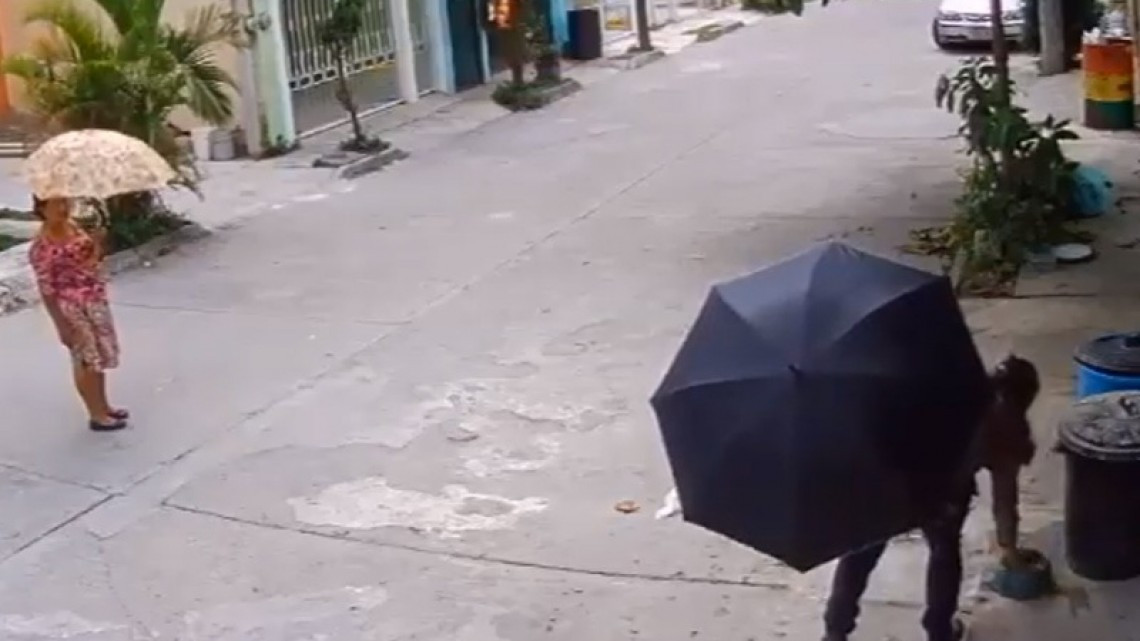 Ni los perros se salvan de la delincuencia, llega #LadyTrastes