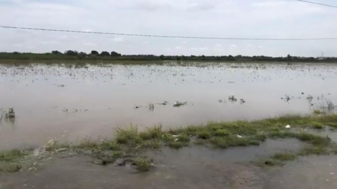 Deja 'Hanna' pérdidas millonarias al campo tamaulipeco