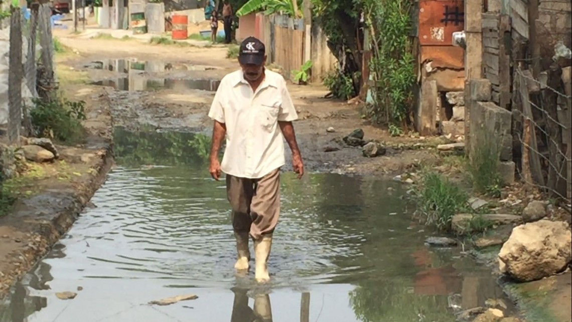 Brotes de aguas negras de más de ocho años en zonas bajas