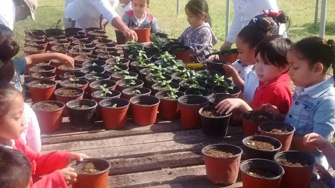 Contribuye Dirección del Medio Ambiente a la educación ecológica