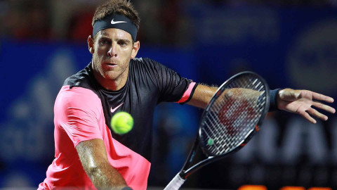 Juan Martín del Potro conquista el Abierto mexicano de tenis