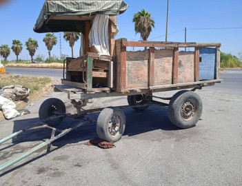 Retiran de las calles los carretones de tracción animal.