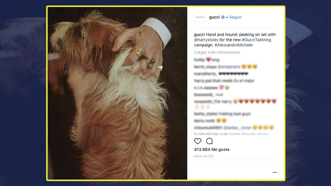 Harry Styles es la nueva cara de Gucci