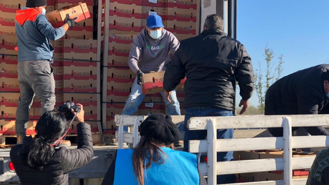 Donan exportación de tomates detenida por frío a asociaciones civiles