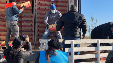Donan exportación de tomates detenida por frío a asociaciones civiles