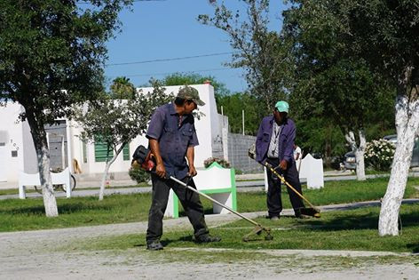 Mantenimiento en la plaza Nuevo León