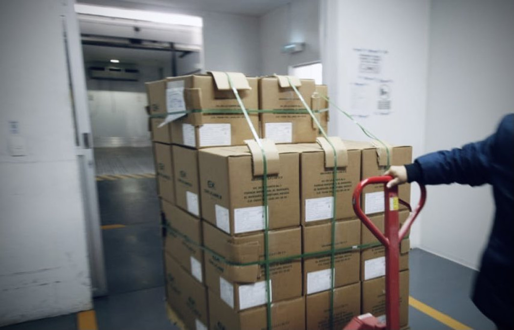 Llegan 451 mil dosis de vacunas CanSino a Birmex