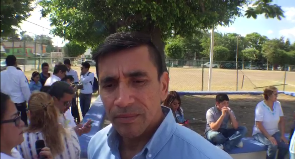 Se secan 250 palmeras del boulevard costero