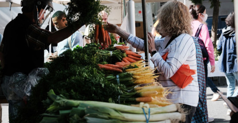 Más del 10% de la producción mundial de alimentos se desperdicia en hogares: FAO