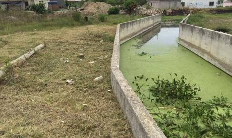 Preparan la realización del primer informe de gobierno