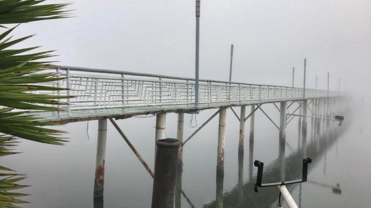 Hermosos paisajes de Tampico envueltos de neblina