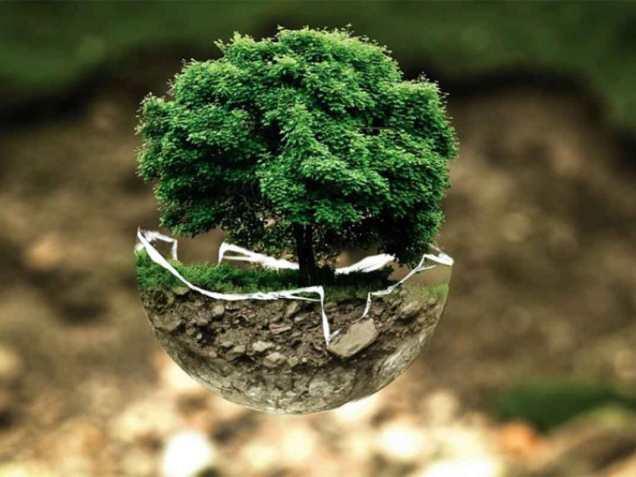 “Día mundial del Árbol”, una fecha para la concientización