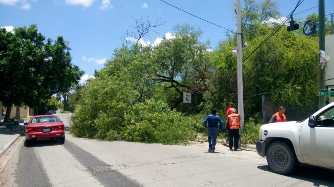 Retira Municipio ramas y cacharros de la vía pública