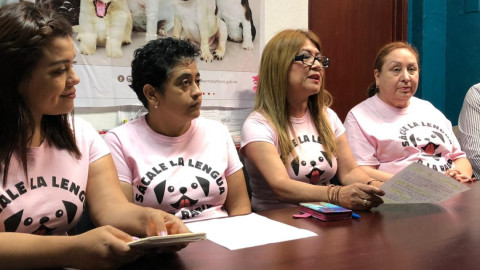 Municipio iniciará campaña de vacunación contra la rabia