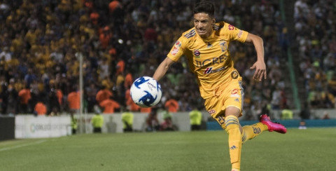 Afición de Tigres pide a Fulgencio en lugar de Aquino