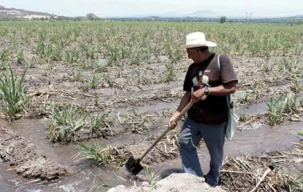 Lluvias terminan con temporada de sequía