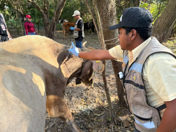 Acción inmediata y coordinación interinstitucional ante caso de GBG en Tamaulipas