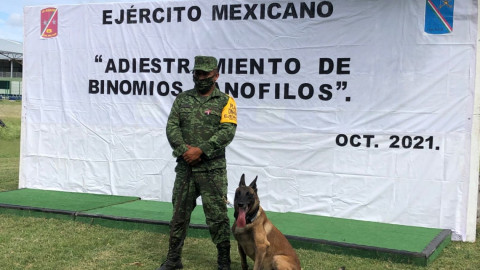 Realizan exhibición de binomios canófilos