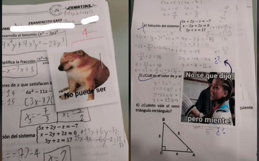 Docente califica con con memes a sus alumnos