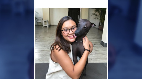 Esperen, ¿es un perro o una estatua?