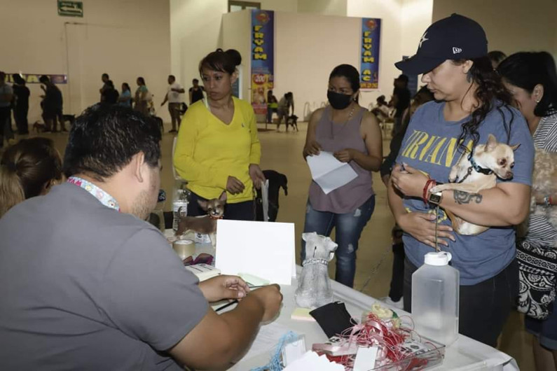 Logró campaña municipal esterilizar más de 450 mascotas 
