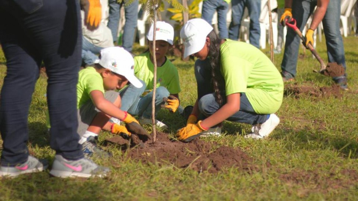 Realizan  trabajos de reforestación