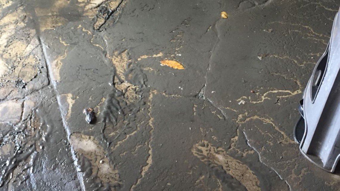 Aguas negras inundan domicilios de la colonia Tampico - Altamira